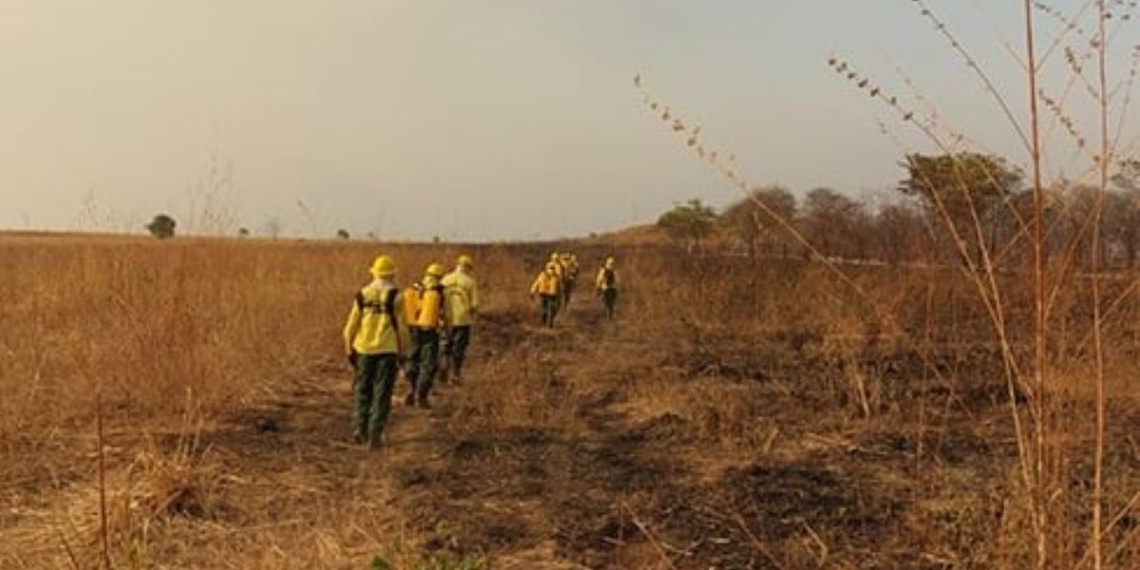 Piauí reforça combate às queimadas com 63 brigadistas no segundo semestre de 2024